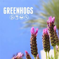 Green Hogs - stijlvolle buitenruimtes