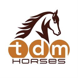 TDM horses