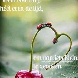 Esthetiek Naturel