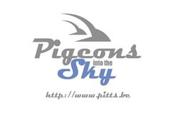 Pitts Auctions