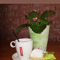 Koffie- en broodjesbar ''Eethoekske''