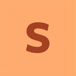 STS-Elektro