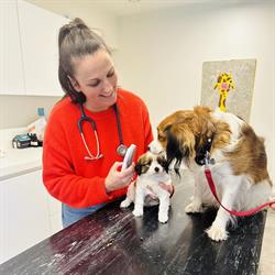 Dierenartspraktijk Ameel