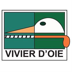 Vivier D'oie Hockey Club