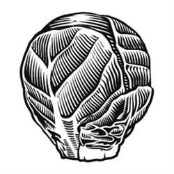 Choux de Bruxelles