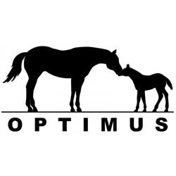 Stal Optimus