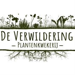 De Verwildering