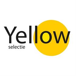 Yellow Selectie Vlaams- Brabant te Leuven