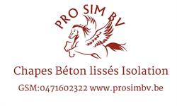 Pro Sim Bv