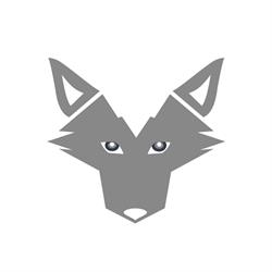 WizeWolf