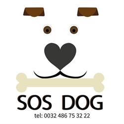 SOS DOG
