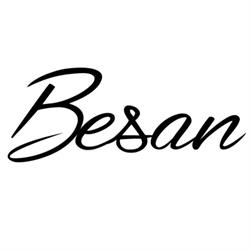 Besan