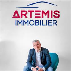 Artemis Immobilier