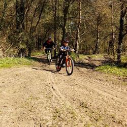 Revalibike