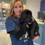 Pauline Jacoby vétérinaire Somvet