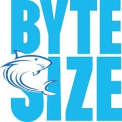 Bytesize