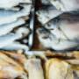 M.S. Services grossiste en poisson