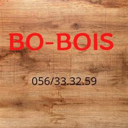 Bo-Bois SRL