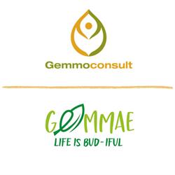Gemmoconsult