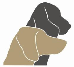 Dog trainer Kat'n Dogs
