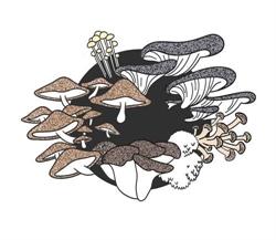 La Mycosphère