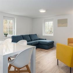 Houtsaegertje