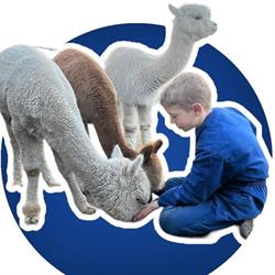Op't Heeseinde