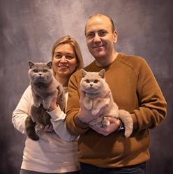 Cattery Cat-Cakes