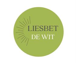 Liesbet De Wit - Expertise praktijk (hoog)begaafdheid