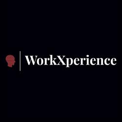 WorkXperience