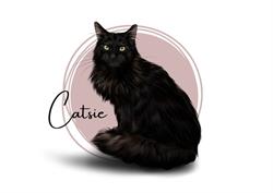 Catsie