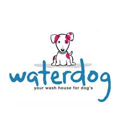 Waterdog