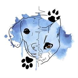 For the love of paws