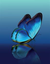 Coaching de Reflectie