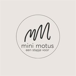 Mini Motus