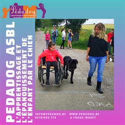 Pédadog