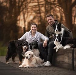 Dogs in motion