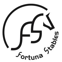 Stal Fortuna