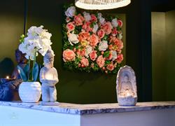 Alchemy Thai Massage