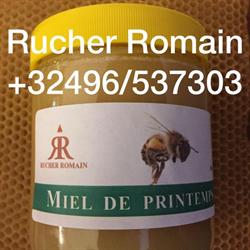 Rucher Romain