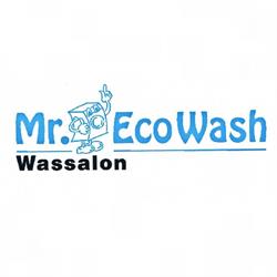 Mr. EcoWash