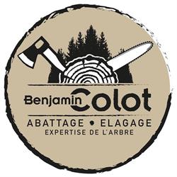 Benjamin Colot - Elagage & abattage