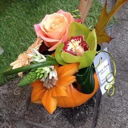 Couvy-Fleurs