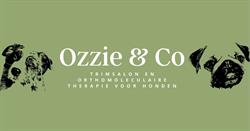 Ozzie & Co