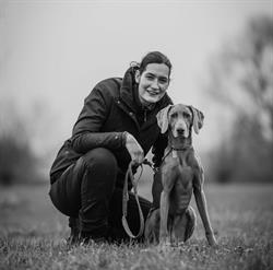 Dogs&Discipline