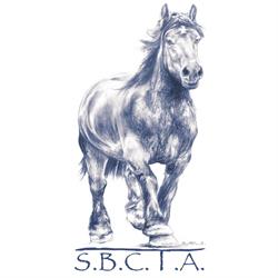 Cheval de Trait Ardennais Stud-Book