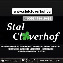 Stal Cloverhof