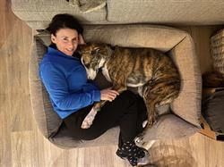 Huisdierentherapie.be