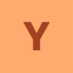 YL - Construct