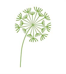 Respira, lust for life coaching
